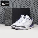 Air Jordan 3 Dark Iris CT8532-105 Men's