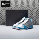 Jordan 23 Titanium 318474-151 Men's