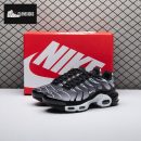 Nike Air Max Plus Black Silver White DM0032-003 Unisex